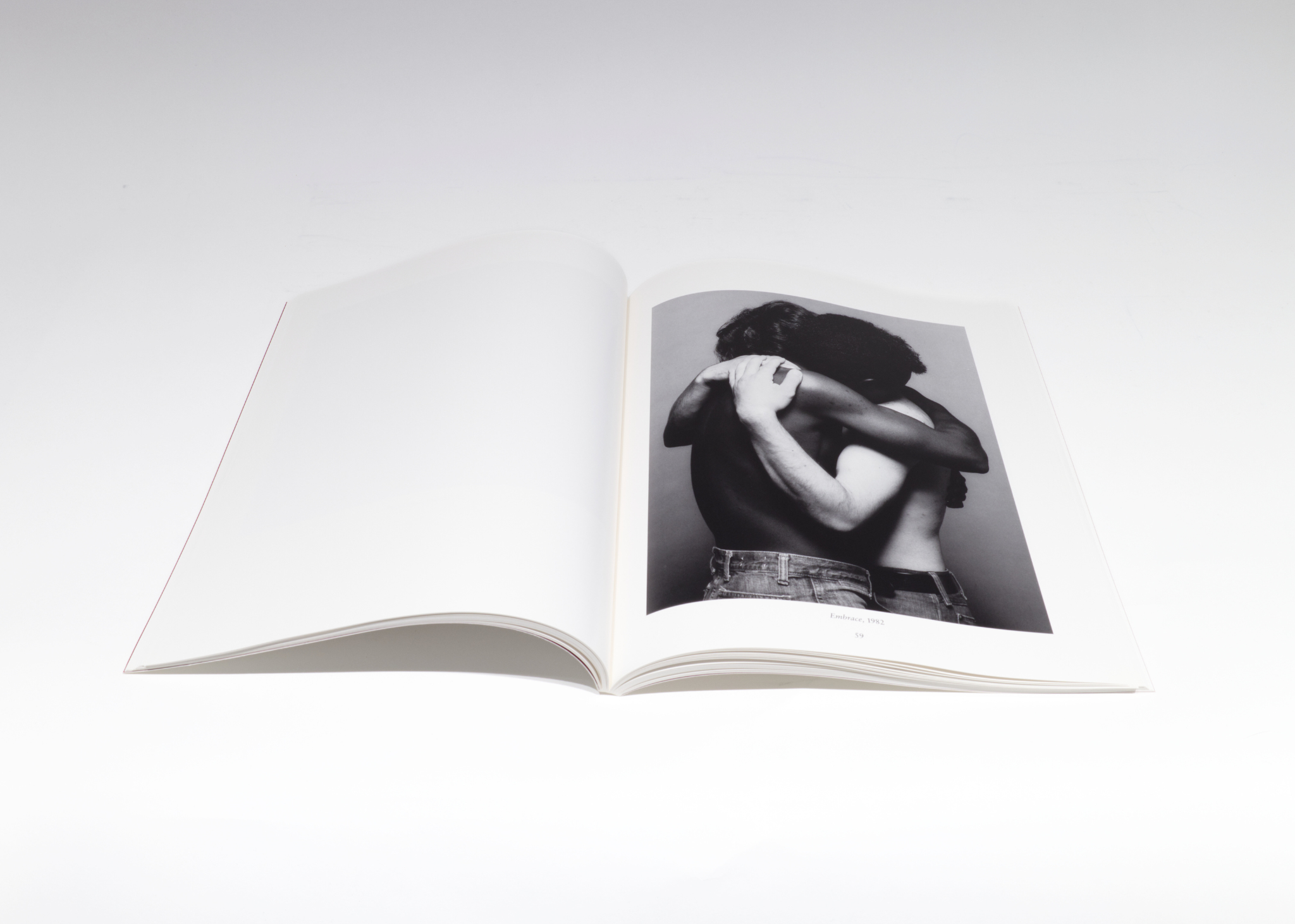 Robert Mapplethorpe: The Perfect Moment