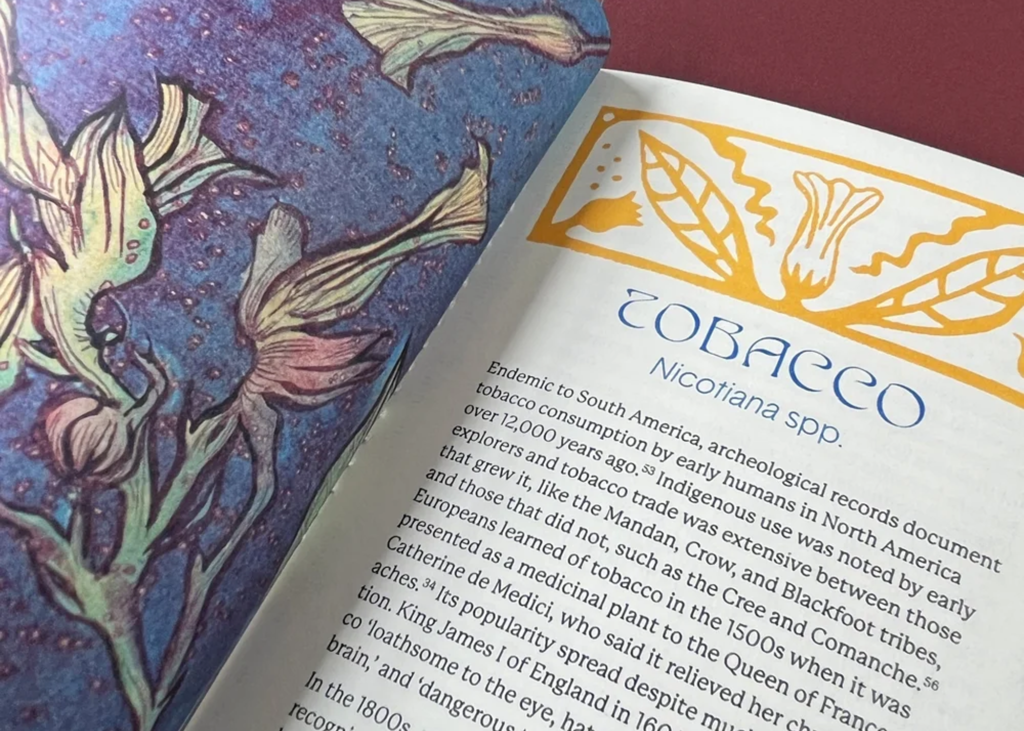 Flora’s Daughters: Seven Plants Through the Lens of Eclectic Medicine, Contemporary Herbalism, and Botanical Illustration