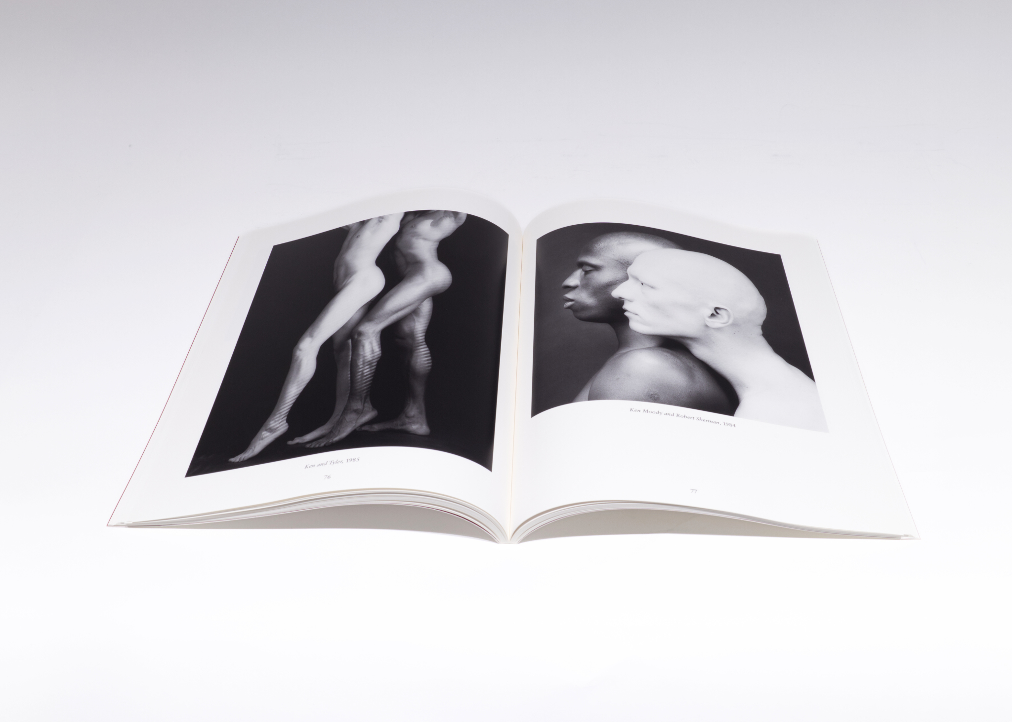 Robert Mapplethorpe: The Perfect Moment