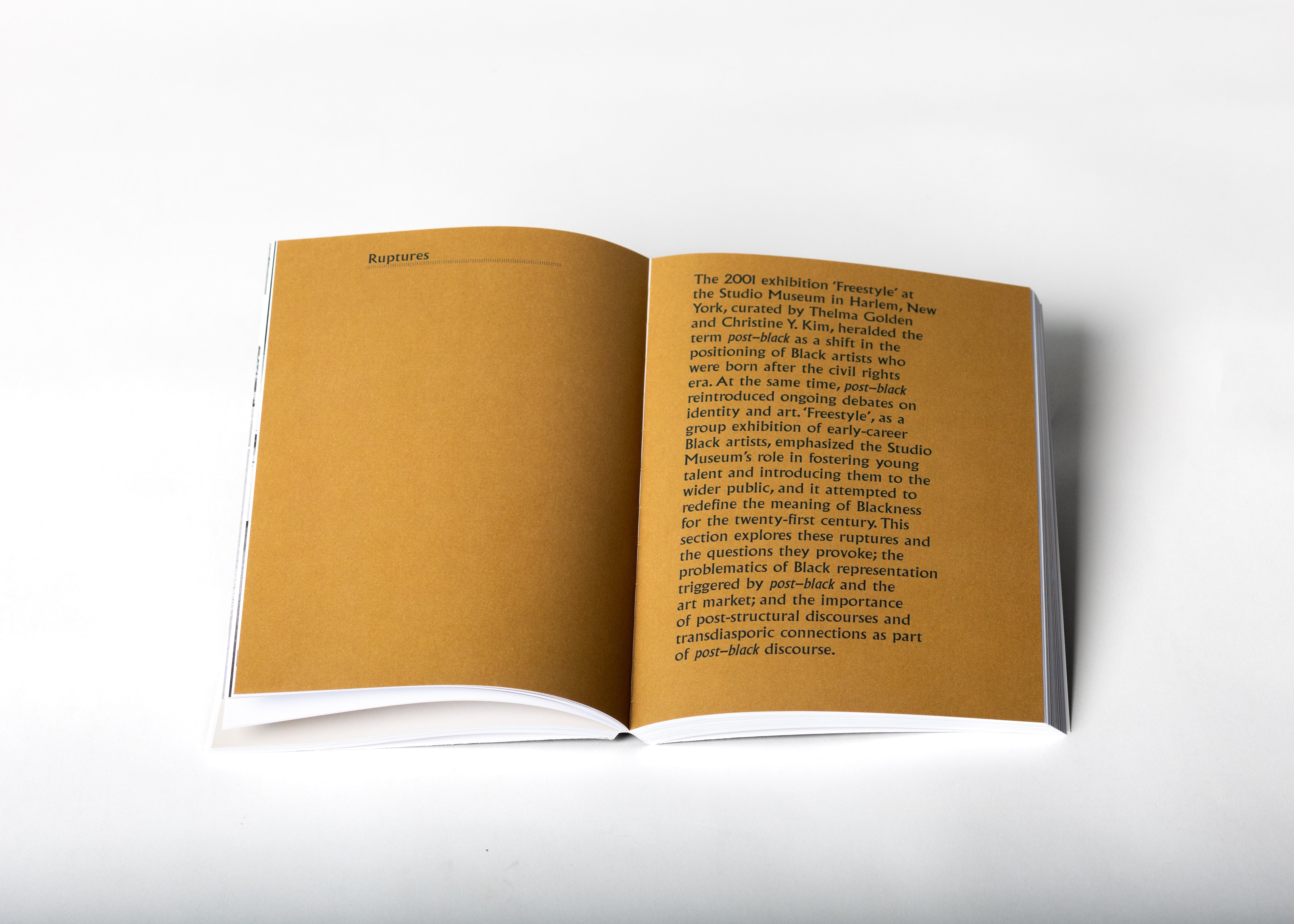 Reshaping the Field: Arts of the African Diasporas on Display