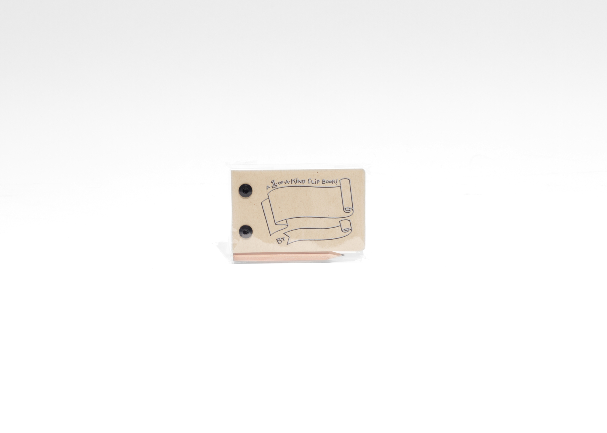Draw Your Own Flipbook + Pencil