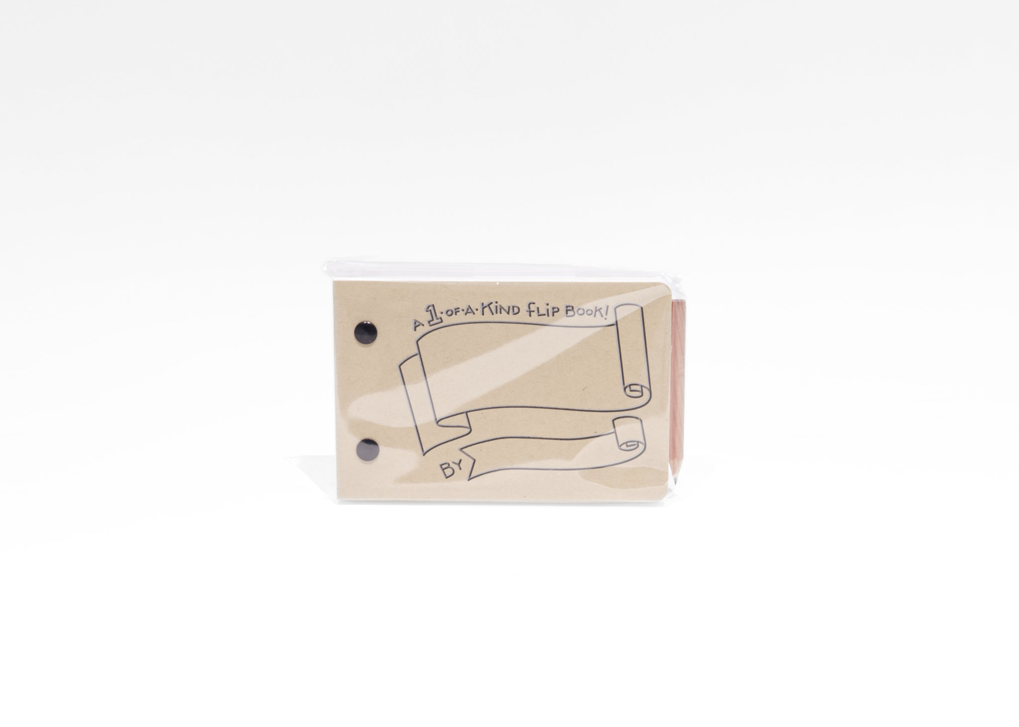 Draw Your Own Flipbook + Pencil