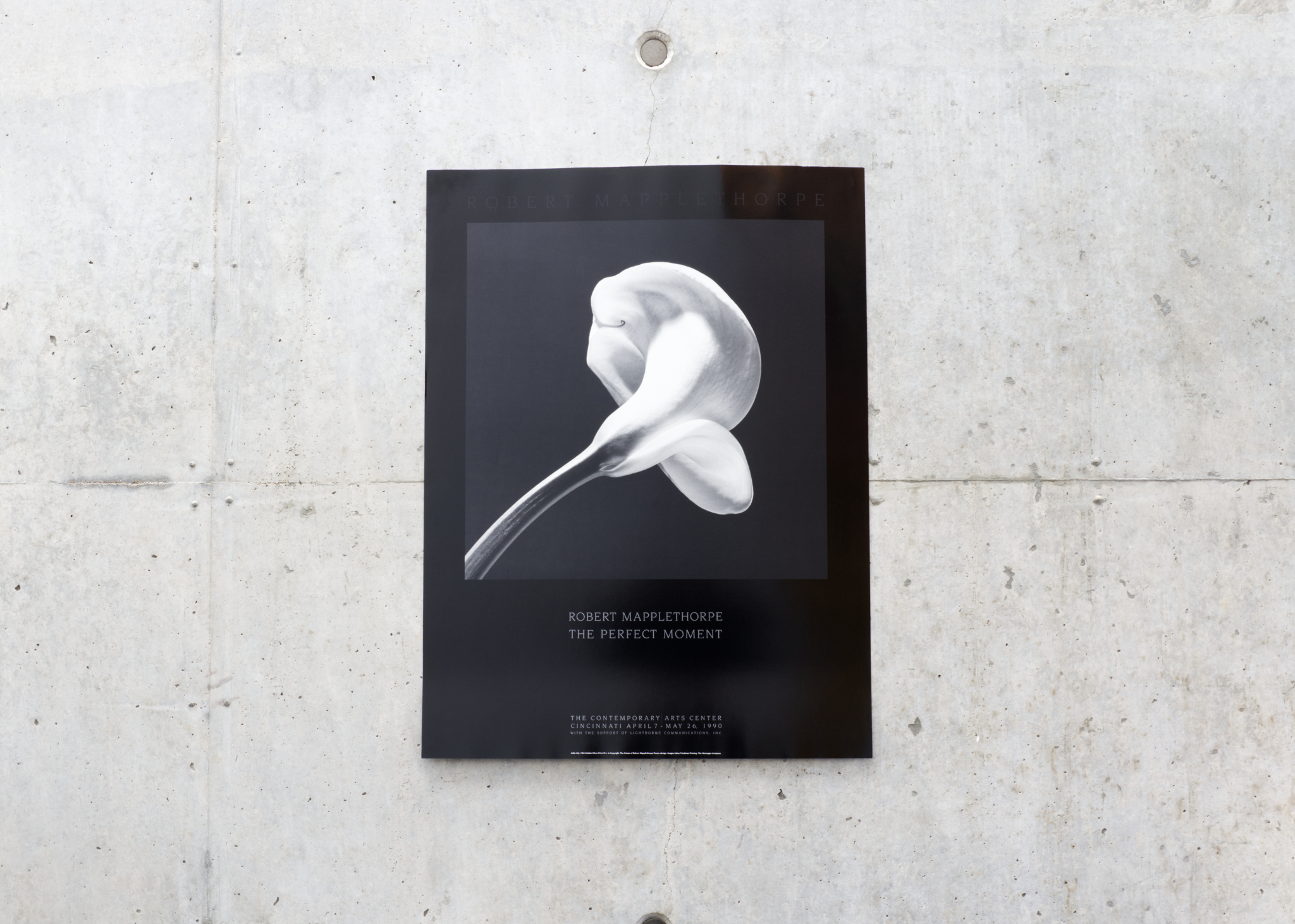 The Perfect Moment, 1990 Exhibition Poster