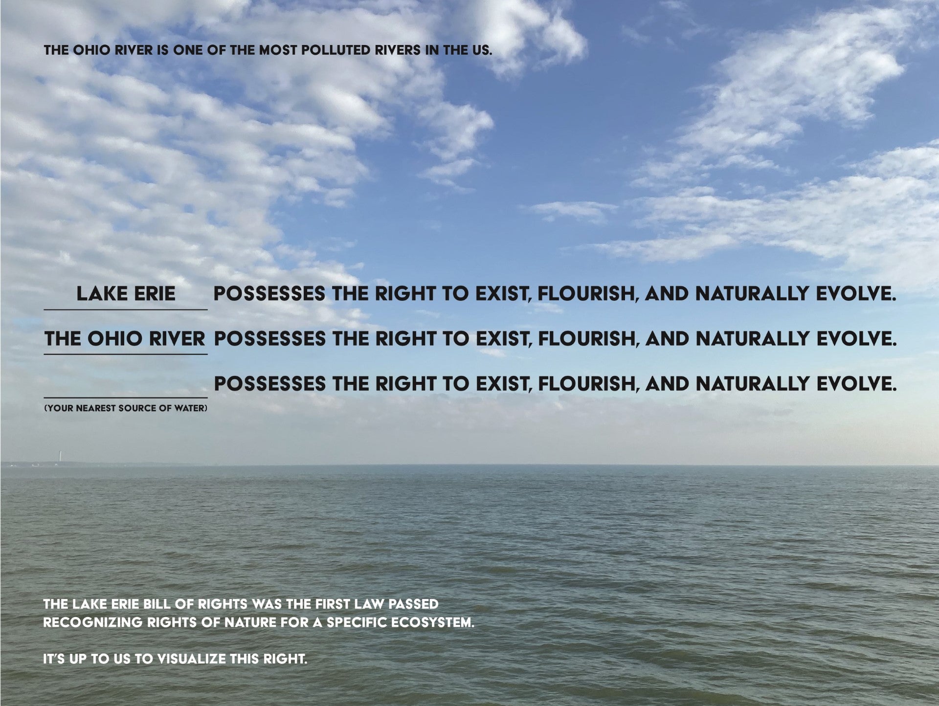 Andrea Bowers: Rights of Nature