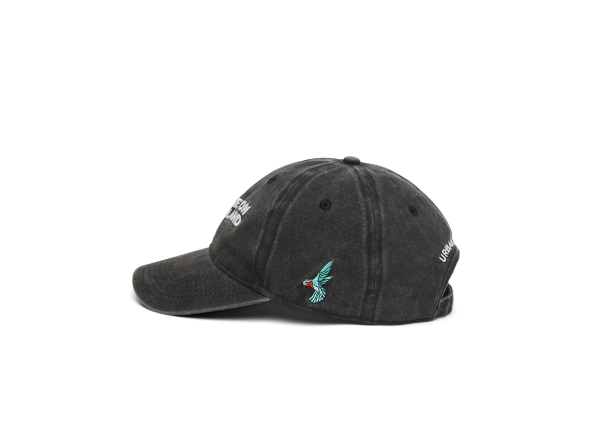 You Are On Native Land Cap