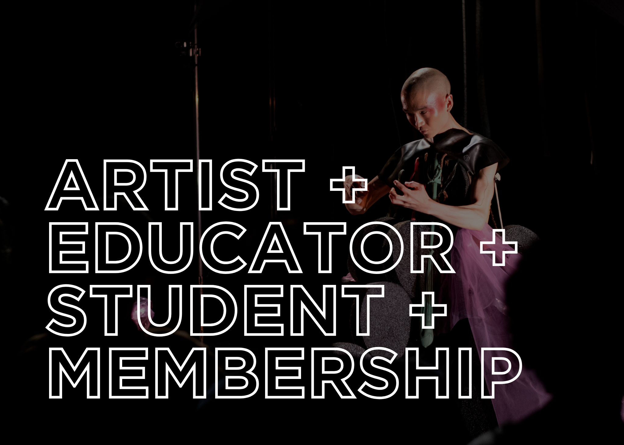 Artist - Educator - Student Membership